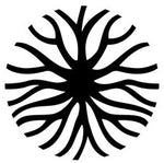 Pure Mycelium