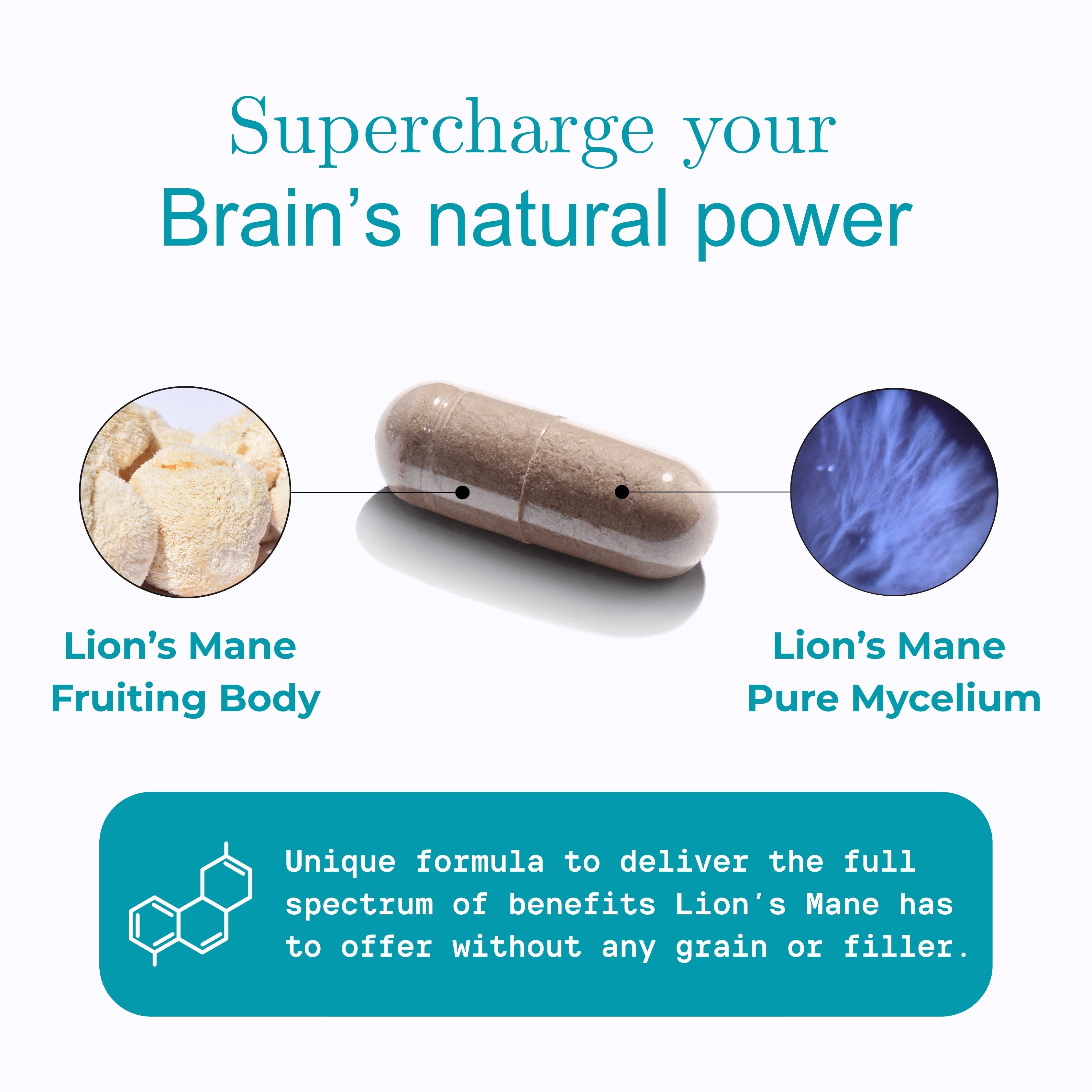 Lion's Mane 01™ - Premium Formula for Brain Longevity