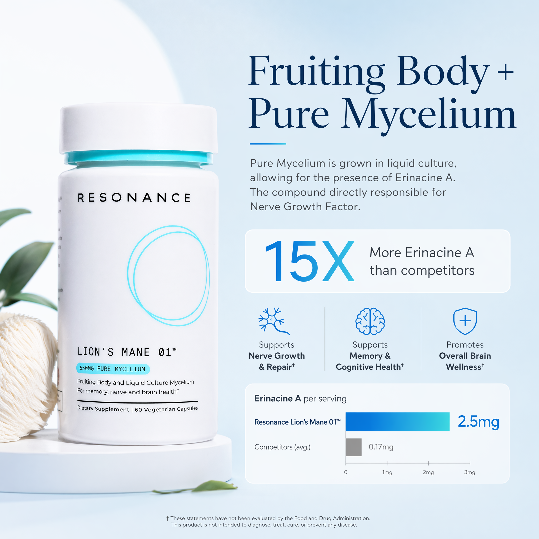 Lion's Mane 01™ - Fruiting Body & Pure Mycelium