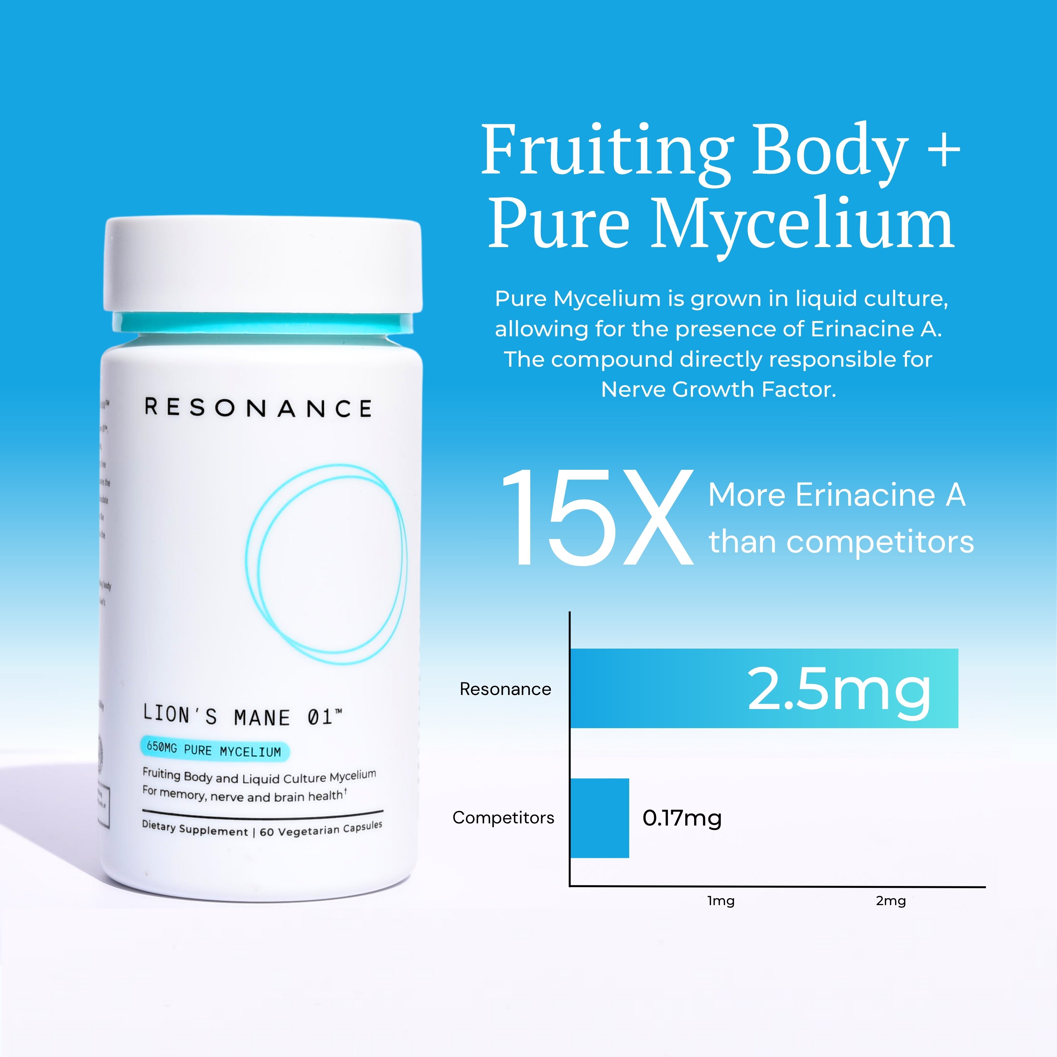 Lion's Mane 01™ - Premium Formula for Brain Longevity